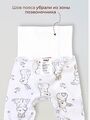 Штанишки ползунки Bebo с закрытыми ножками и с широкой резинкой, Зайчики и птички
